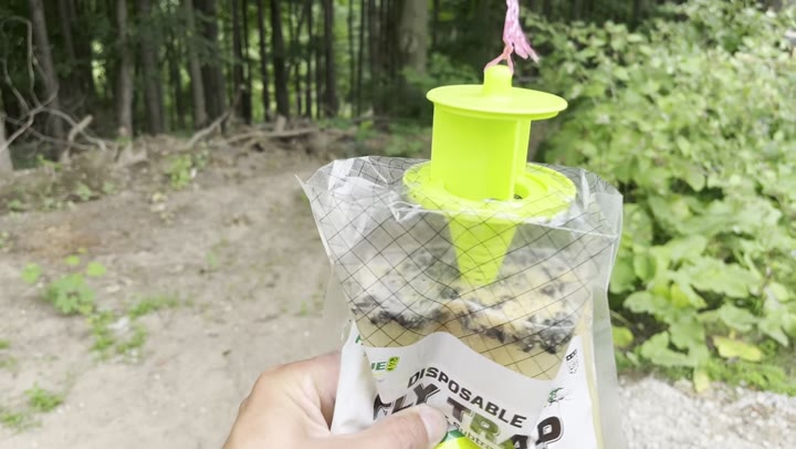 Raid Disposable Fly Trap