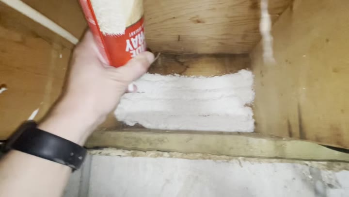 Great Stuff Wide Spray Foam (12-pack)