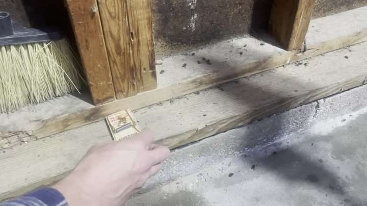 Victor Wooden Mouse Traps